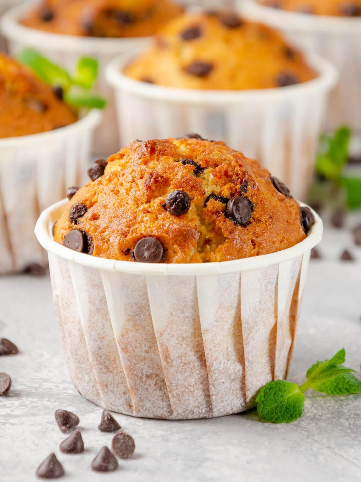 Vanille-Muffins mit Schokoladenstückchen