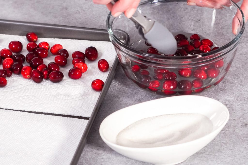 Kandierte Früchte — Cranberries