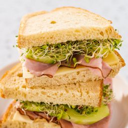 Leichtes Sandwich mit Kochschinken, Käse und Sprossen