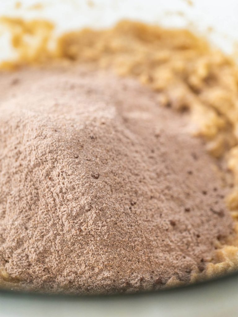 Hausgemachte Graham-Cracker (Vollkorn Schoko-Kekse)