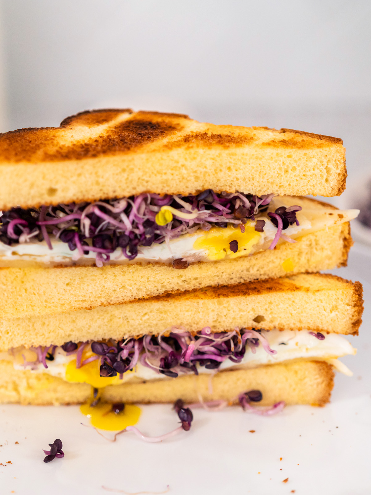 Frühstücks-Sandwich mit Ei und Sprossen