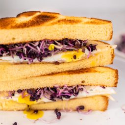 Frühstücks-Sandwich mit Ei und Sprossen