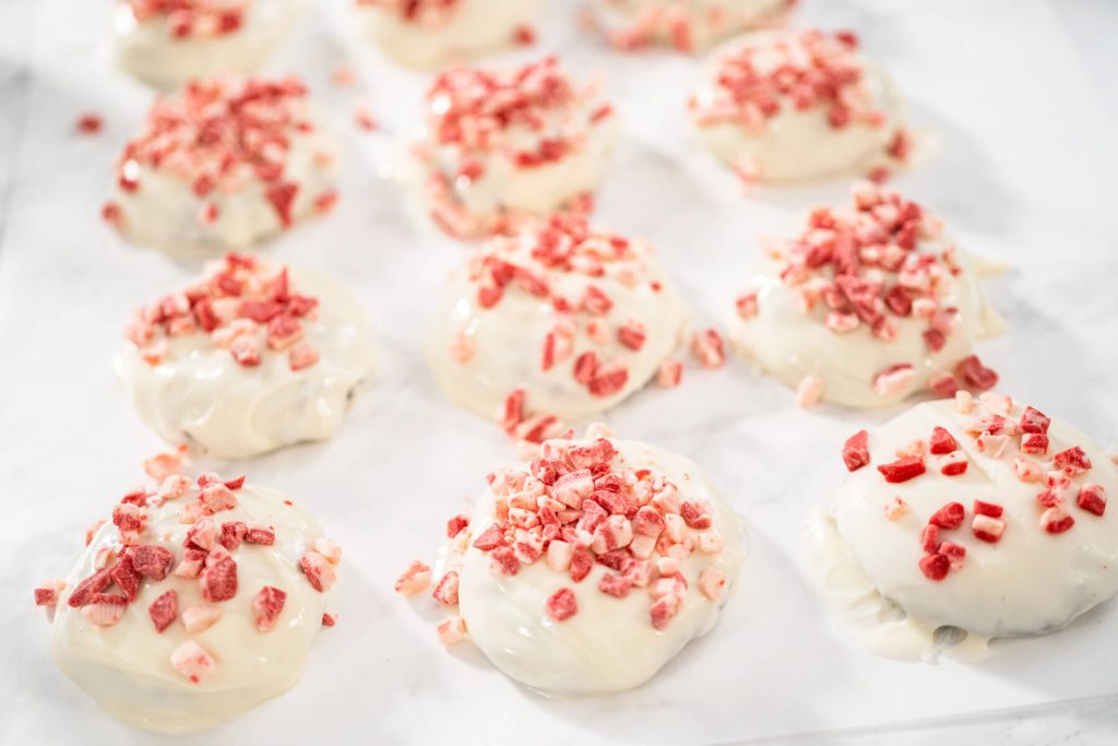 Doppelte Schoko-Pfefferminz-Kekse (Peppermint Chocolate Cookies)