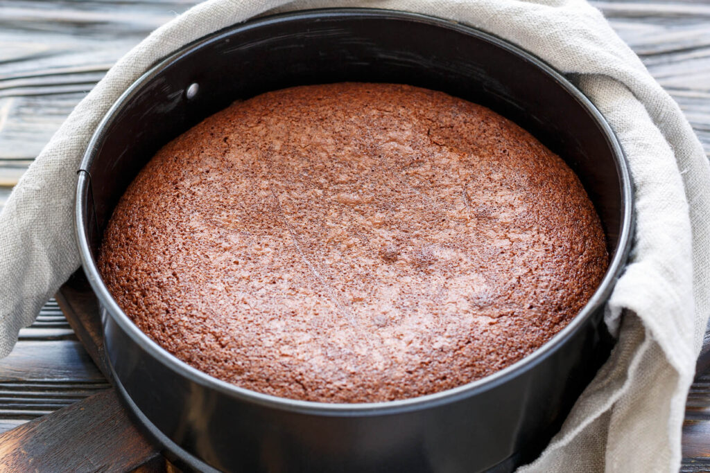 Saftiger Schoko-Brownie-Kuchen (Fudgy Chocolate Cake)