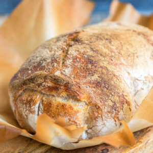 Ciabatta mit Sauerteig auf Backstein