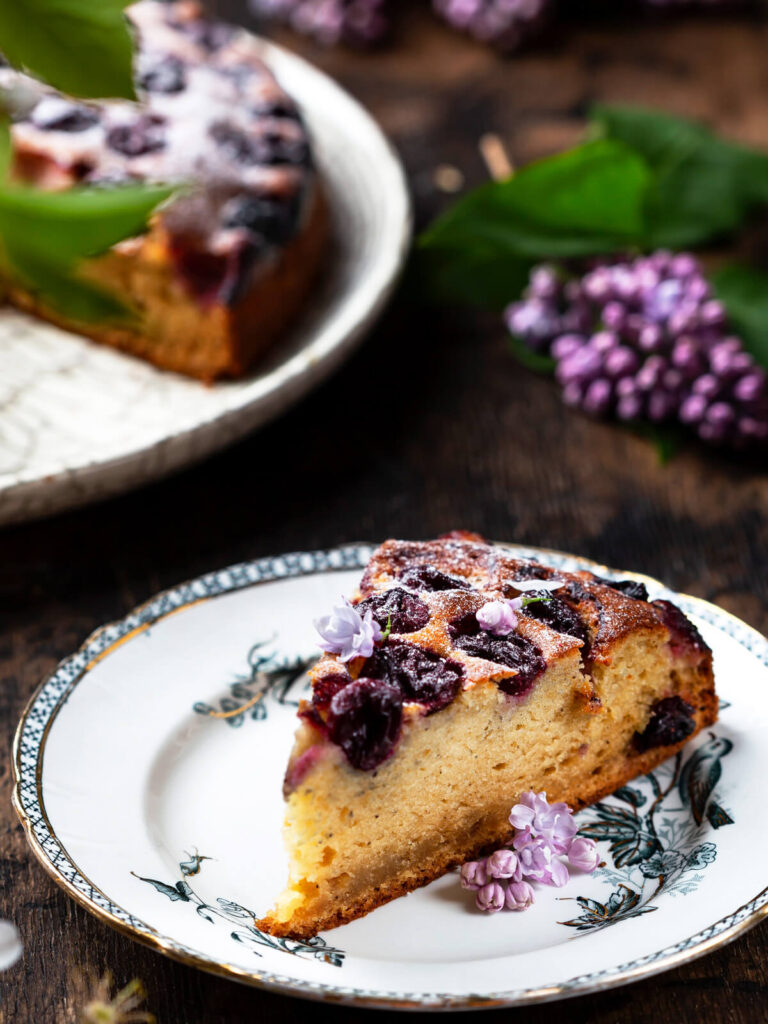 Ricotta-Kuchen mit Kirschen