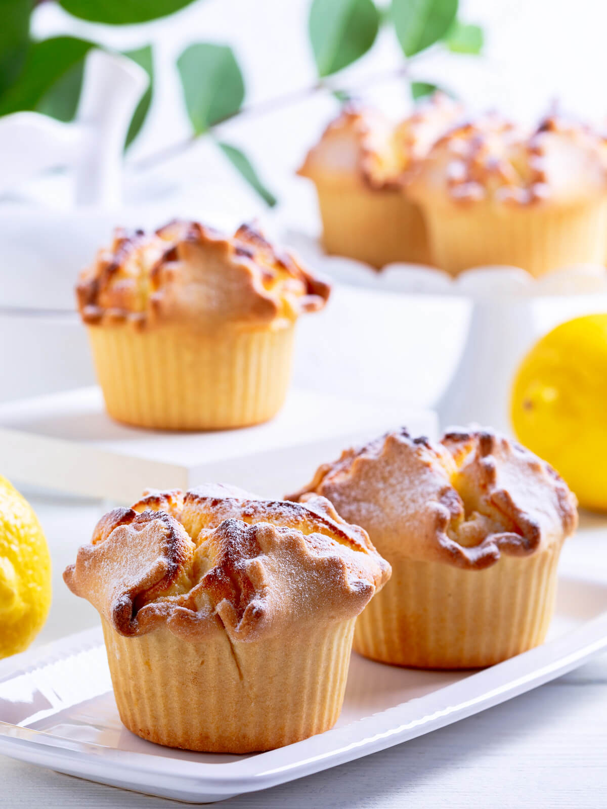 Soffioni (italienische „Liebesbriefe“) – Ricotta-Zitronen-Törtchen aus dem Ofen