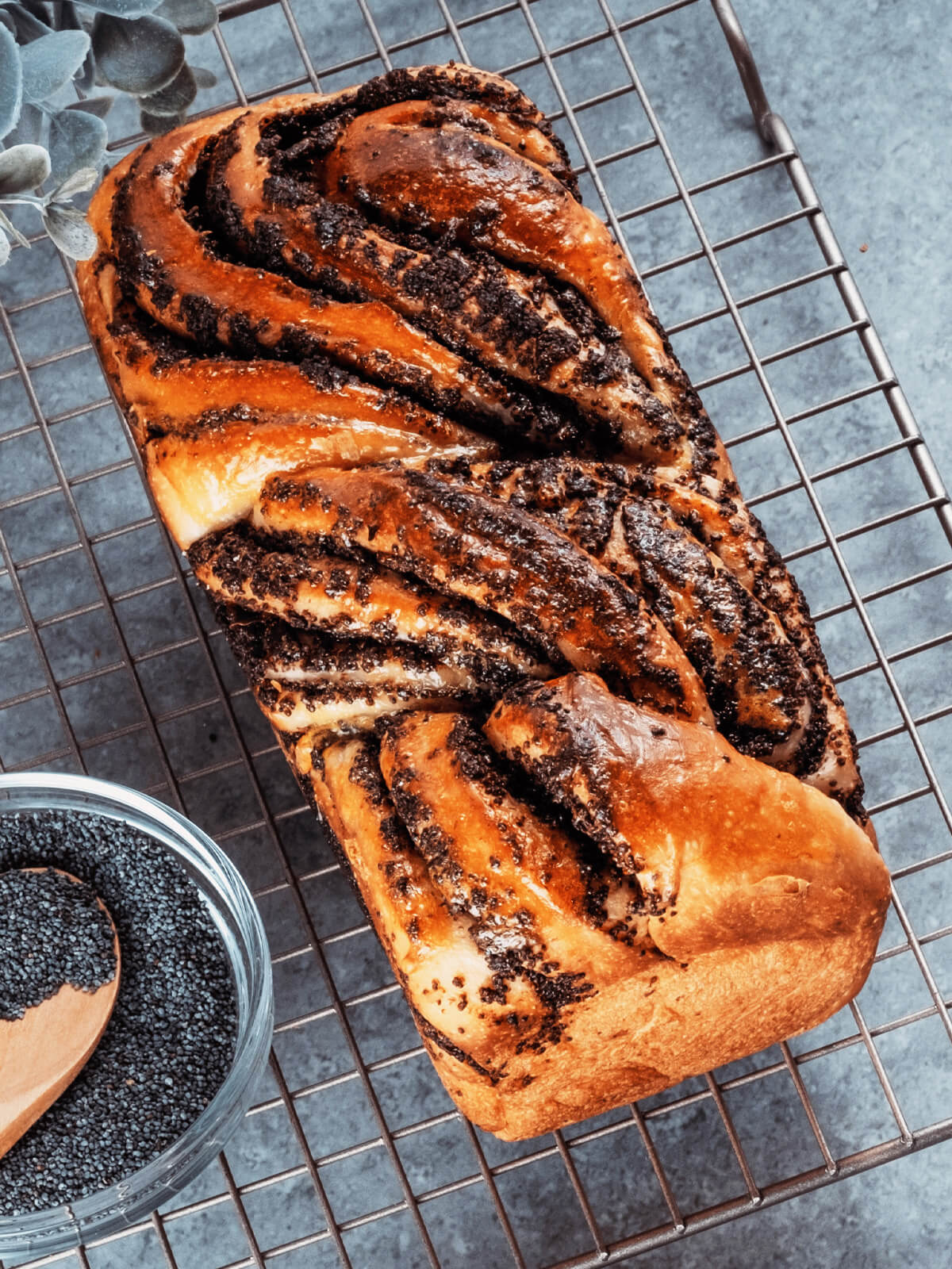 Hefezopf mit Mohnfüllung (Babka-Art)