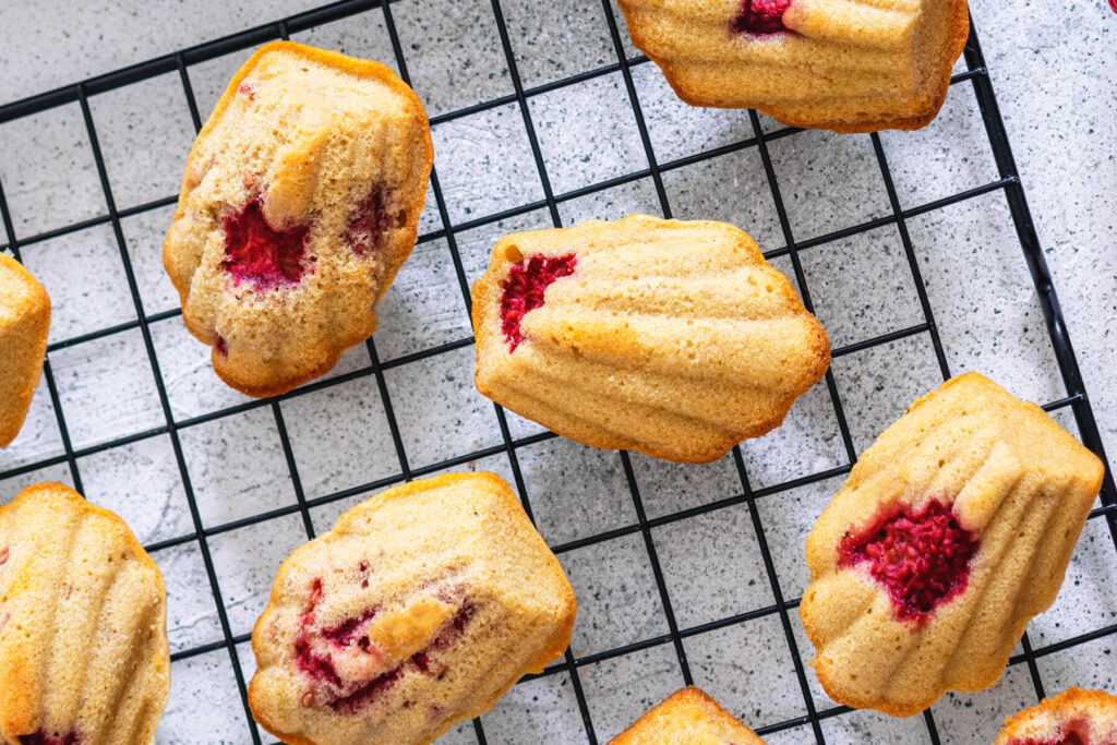 Himbeer-Madeleines – Muschelküchlein mit frischen Himbeeren