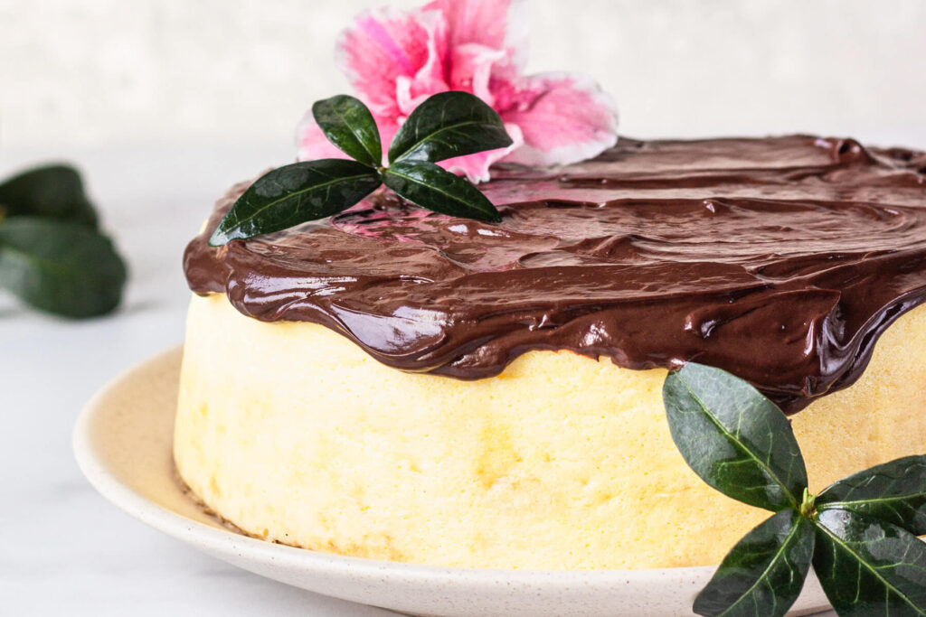 Japanischer Baumwoll-Cheesecake (Soufflé-Kuchen)