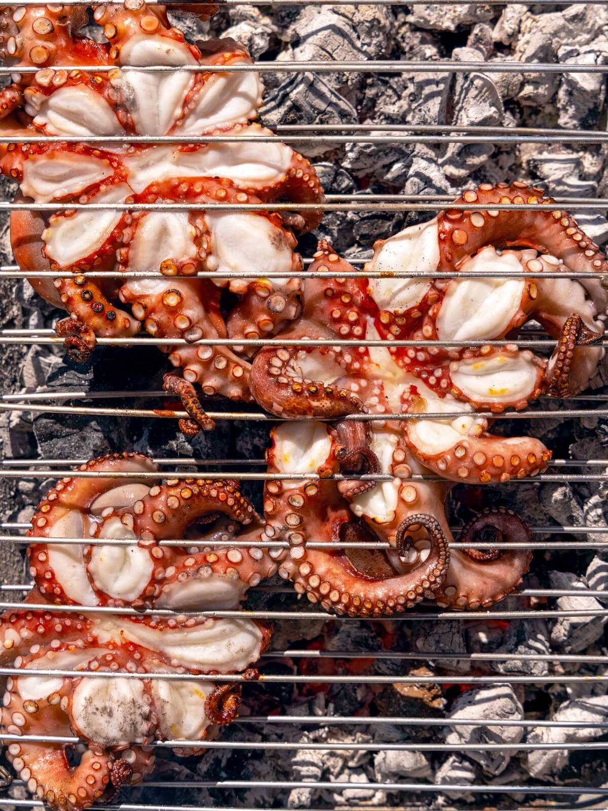 Gegrillter Oktopus