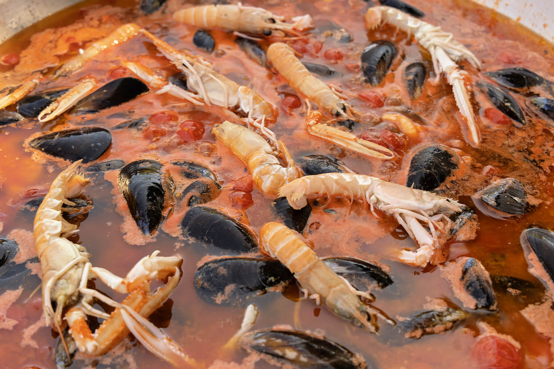 Langustinen, Miesmuscheln und Tomaten im köchelnden Sud in der großen Pfanne