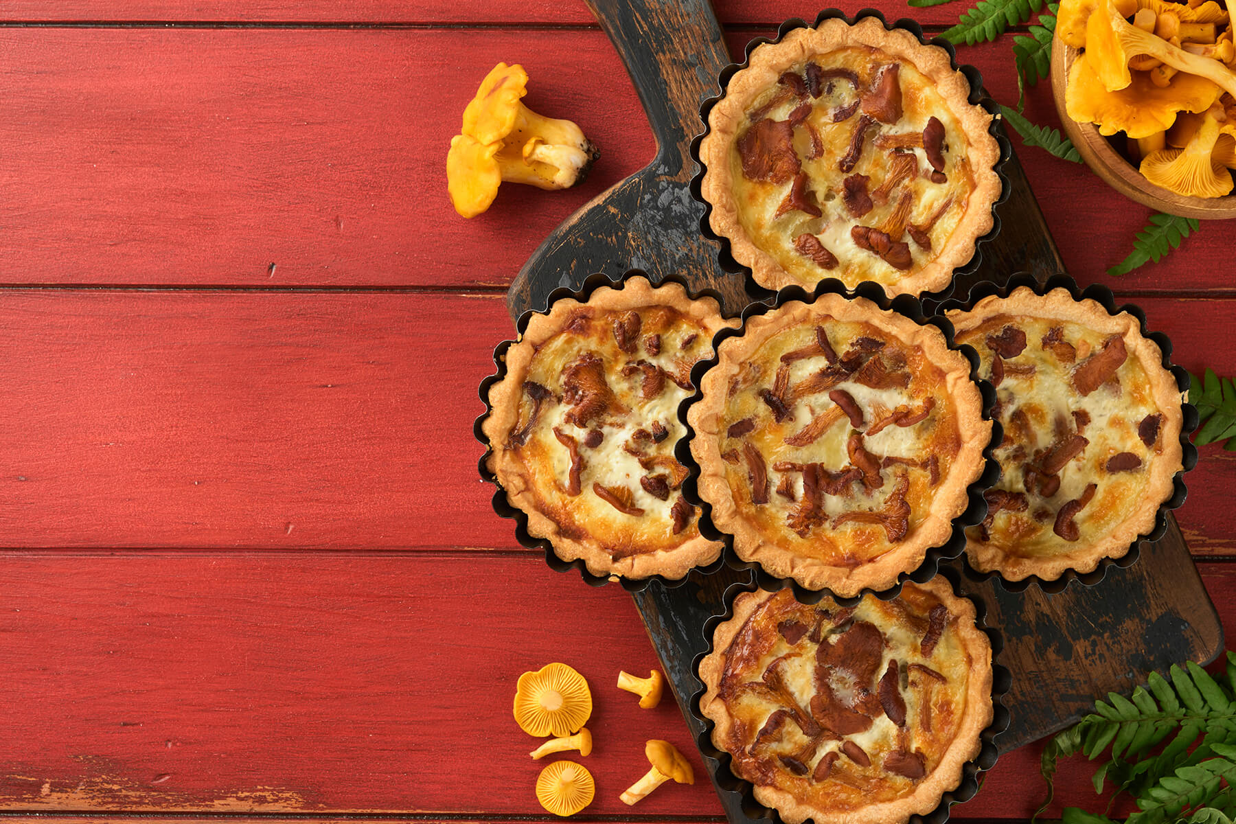 Mehrere Pfifferling-Tartelettes von oben mit hellem Guss und dunkel gebratenen Pilzen obenauf