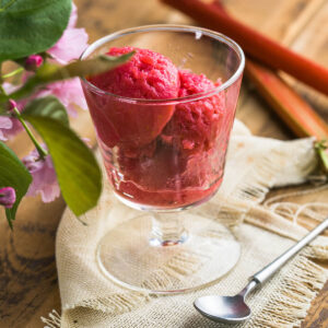 Rhabarber-Erdbeer-Sorbet in leuchtendem Rot, zu Kugeln geformt in einem Stielglas, daneben frische Rhabarberstangen und rosa Blüten