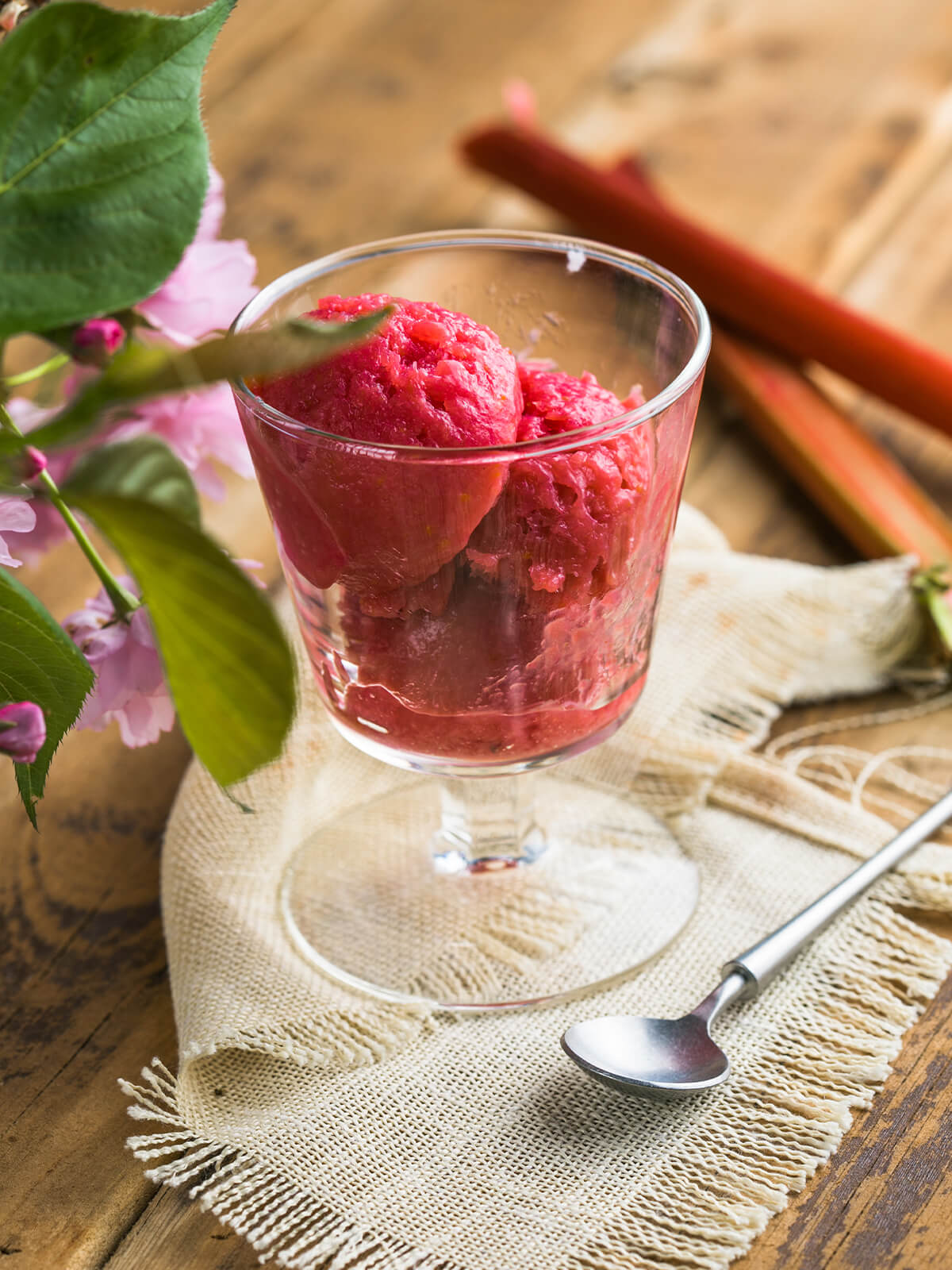 Rhabarber-Erdbeer-Sorbet in leuchtendem Rot, zu Kugeln geformt in einem Stielglas, daneben frische Rhabarberstangen und rosa Blüten