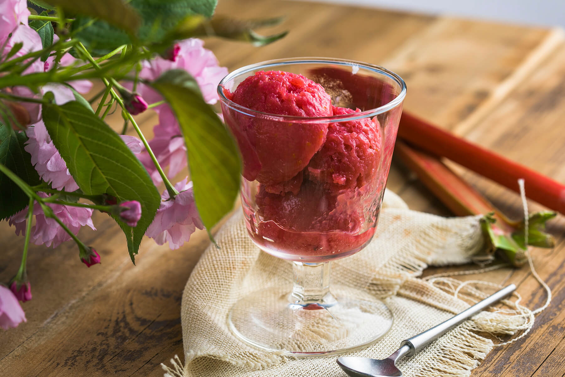 Rhabarber-Erdbeer-Sorbet in einem Stielglas, daneben frische Rhabarberstangen, ein Löffel und rosa Blüten auf einem Holztisch