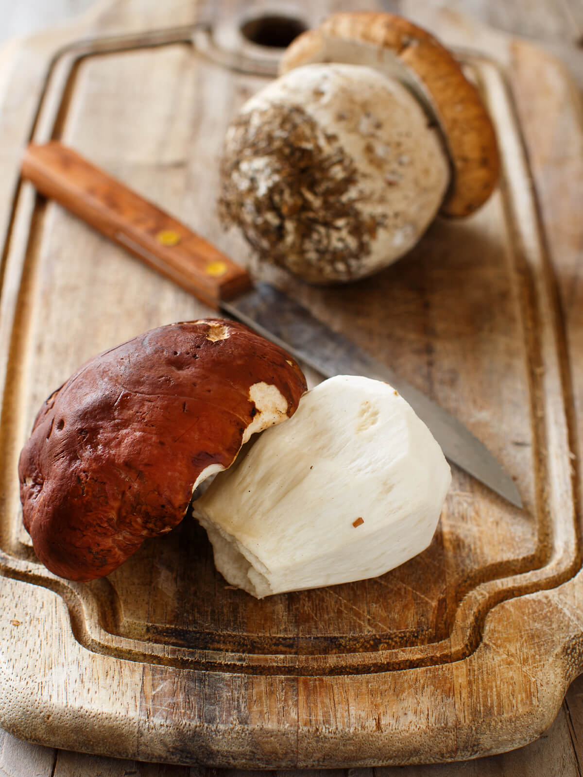 Zwei ganze frische Steinpilze auf einem Holzbrett mit einem Messer, der vordere seitlich liegend mit rotbraunem Hut und hellem, festem Stielfleisch