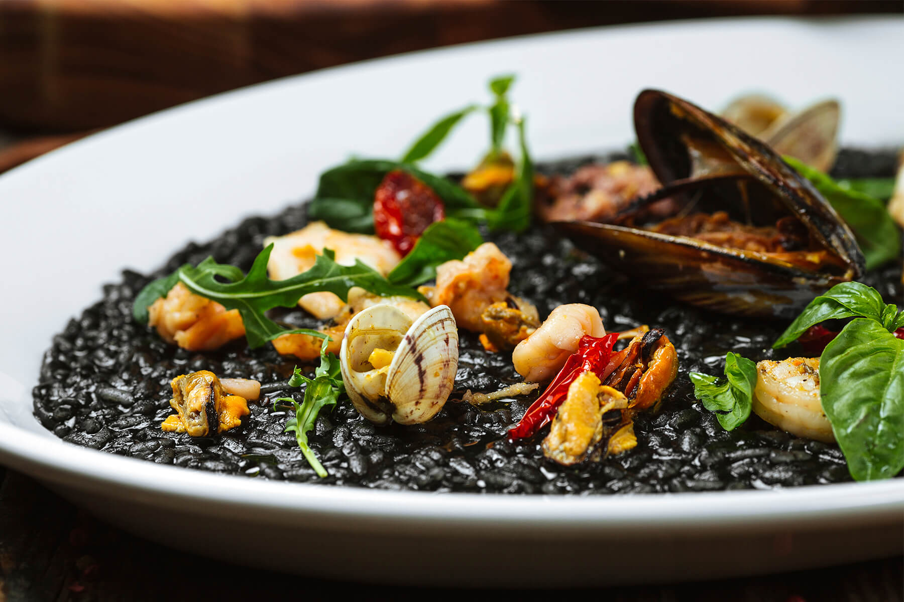 Nahaufnahme von schwarzem Risotto mit geöffneter Miesmuschel, Vongole, Garnelen, Rucola, Basilikum und getrockneter Tomate