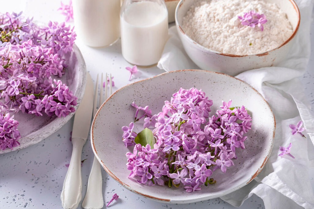 Zutaten für den Ausbackteig: Eier, Milch, Mehl und Puderzucker mit frischen Fliederblüten
