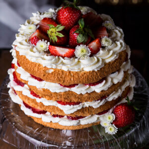 Hohe Erdbeer-Sahne-Torte mit luftigem Biskuit, Sahneschichten und frischen Erdbeeren, garniert mit weißen Blüten auf einer Glas-Tortenplatte