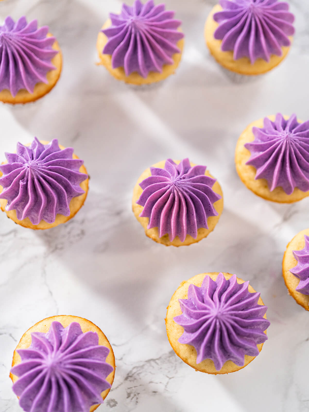 Mehrere Mini-Vanille-Cupcakes mit violetter Buttercreme in Rosettenform von oben