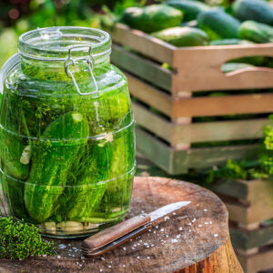Großes Bügelglas mit ganzen Salzgurken in klarer Salzlake, Dill und Knoblauch, daneben eine Kiste frischer Gurken