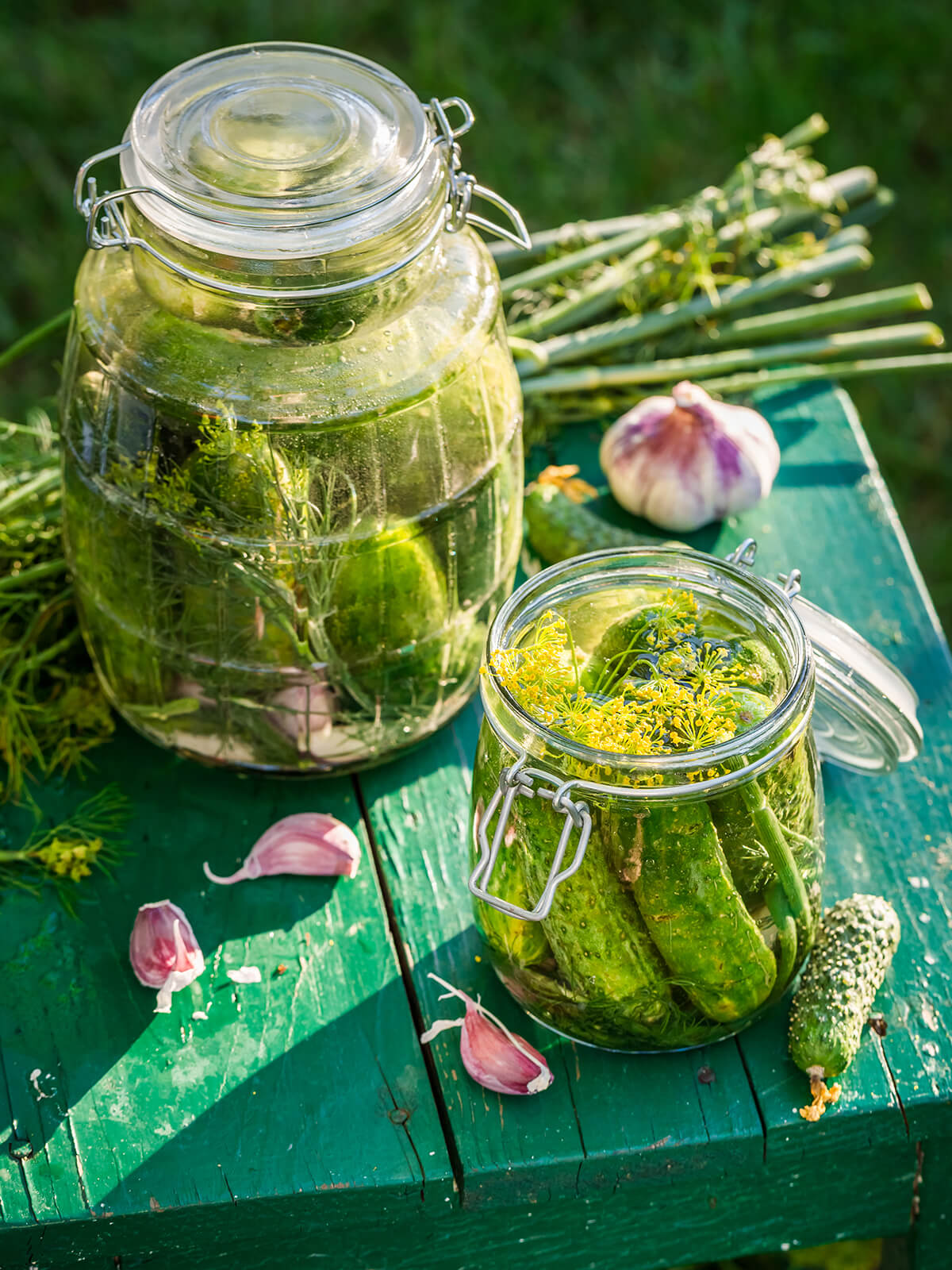 "Zwei Gläser mit eingelegten Salzgurken, Dill und Knoblauch auf einem grünen Gartentisch"