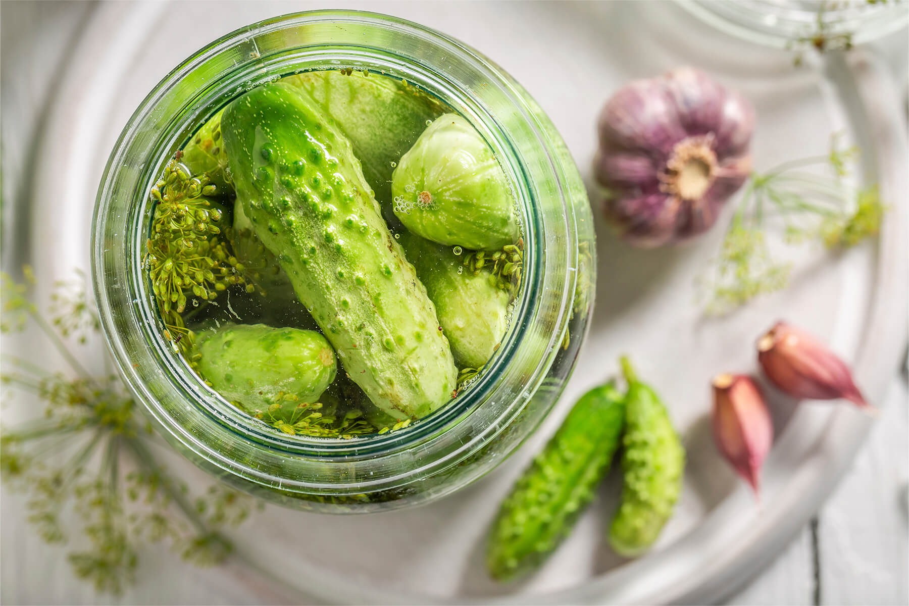 "Offenes Glas mit fermentierten Salzgurken von oben, mit Dill, Knoblauch und Salzlake"