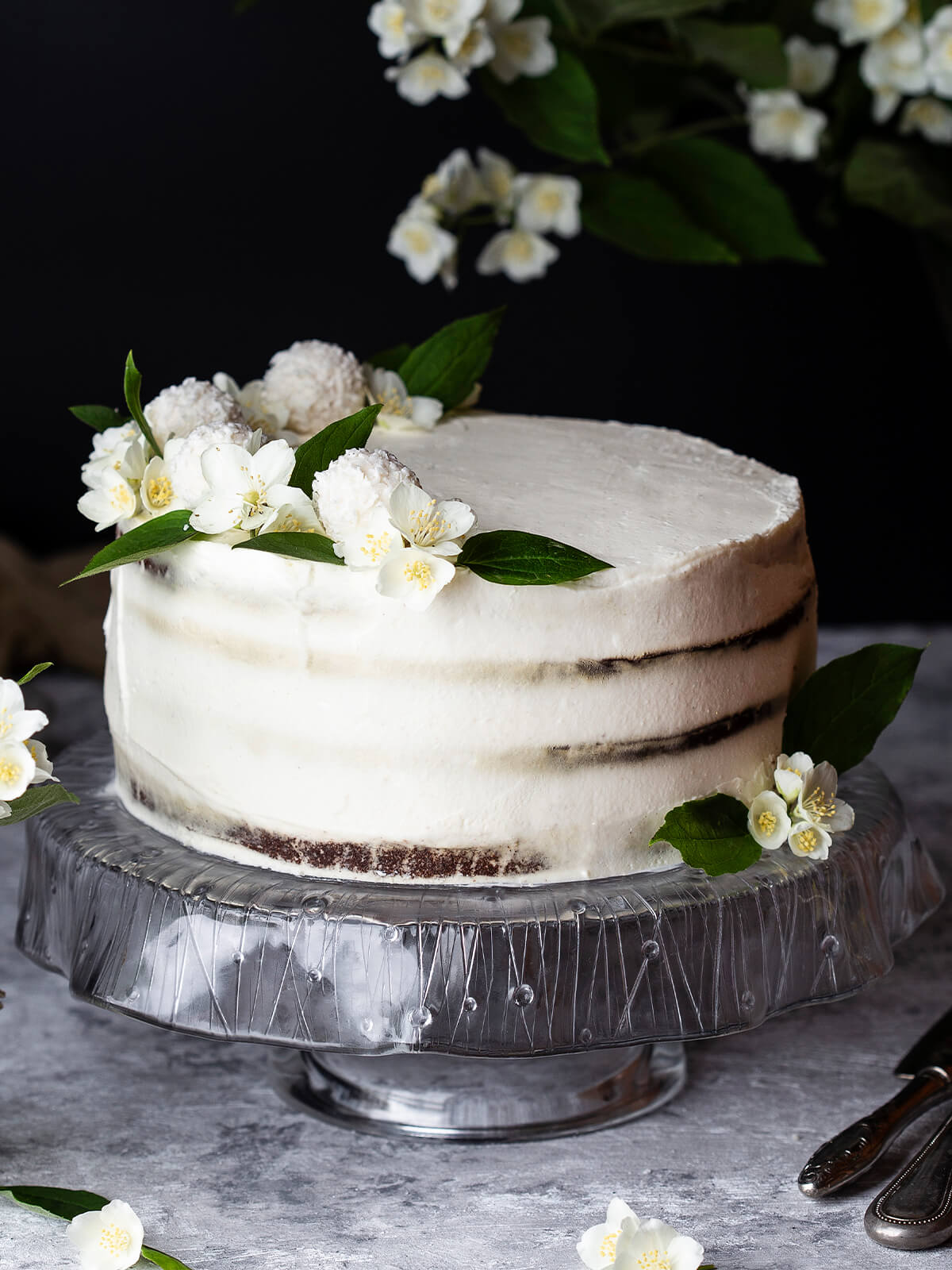 Schoko-Kokos-Torte von der Seite auf einer Glasplatte, die dunklen Böden scheinen durch die dünne weiße Creme