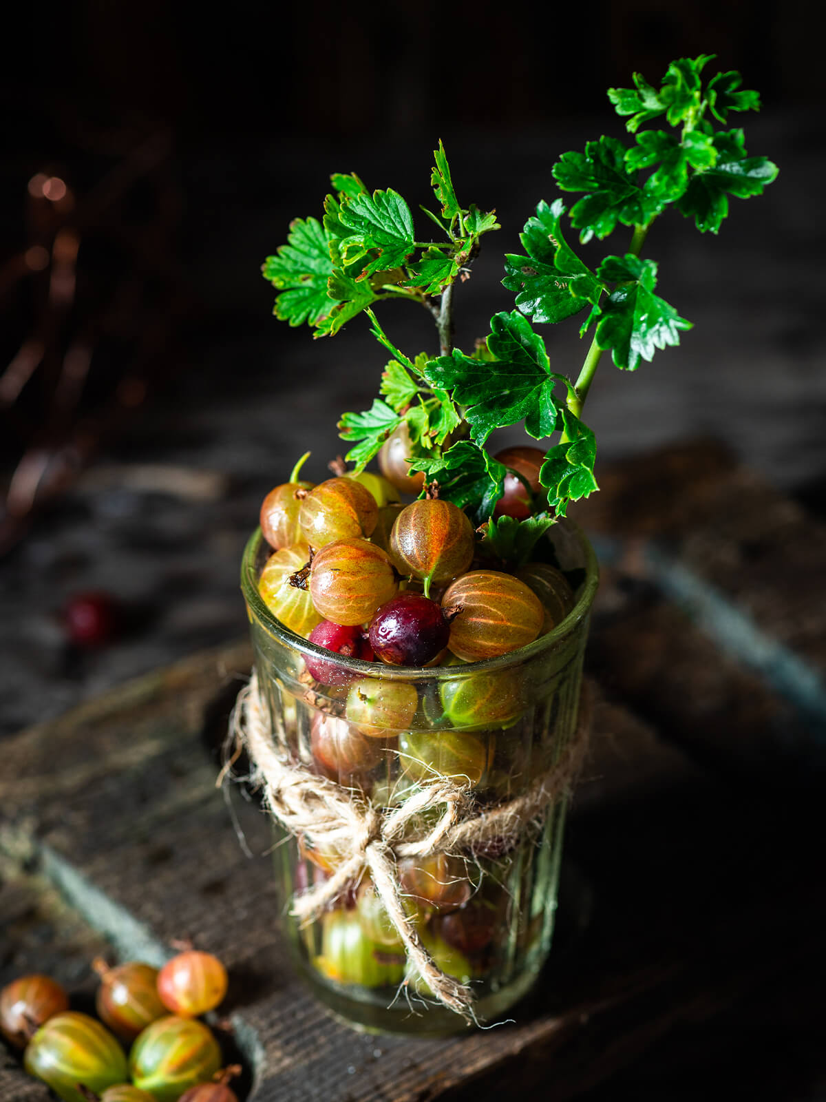 Frische, reife Stachelbeeren mit grün-roter Schale in einem Glas mit einem Blattzweig