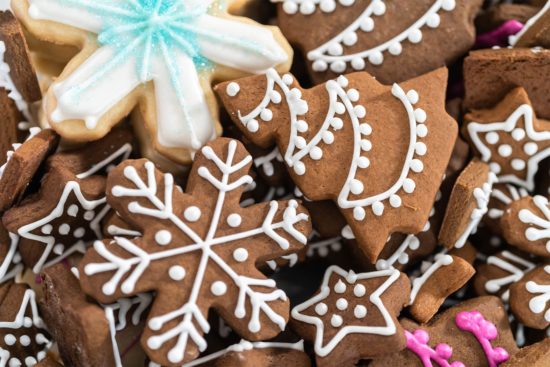 Verschiedene Lebkuchen-Formen – Schneeflocken, Tannen und Sterne – mit feinen weißen Linien aus Eiweißglasur verziert