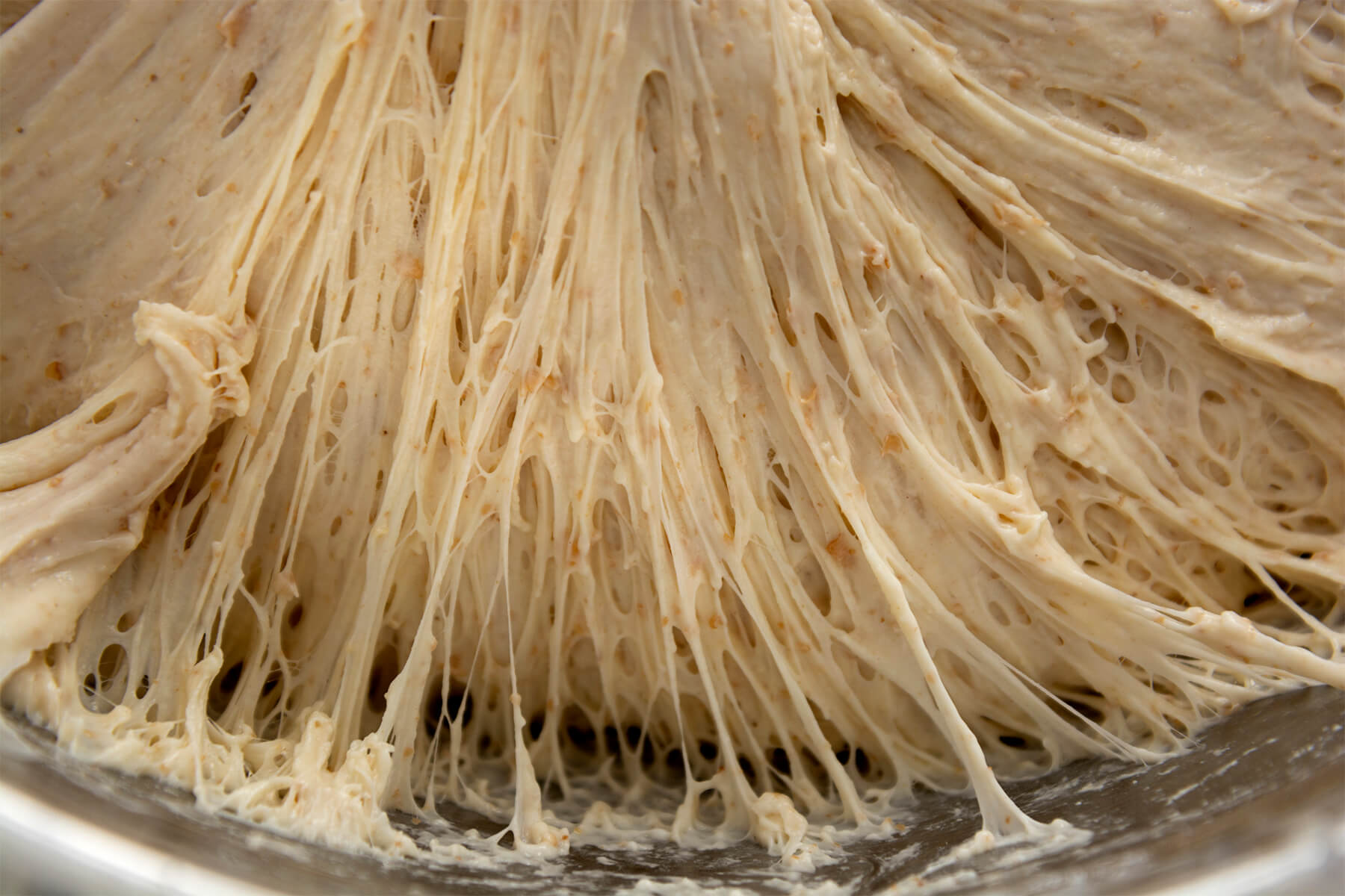 Nahaufnahme eines mit Sauerteig angesetzten Brotteigs, der sich in langen glänzenden Glutenfäden aus einer Metallschüssel zieht, dazwischen viele kleine Gasblasen