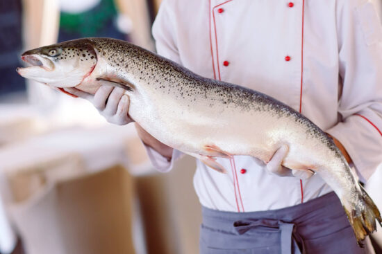 Koch in weißer Jacke und Handschuhen hält einen ganzen Lachs mit beiden Händen
