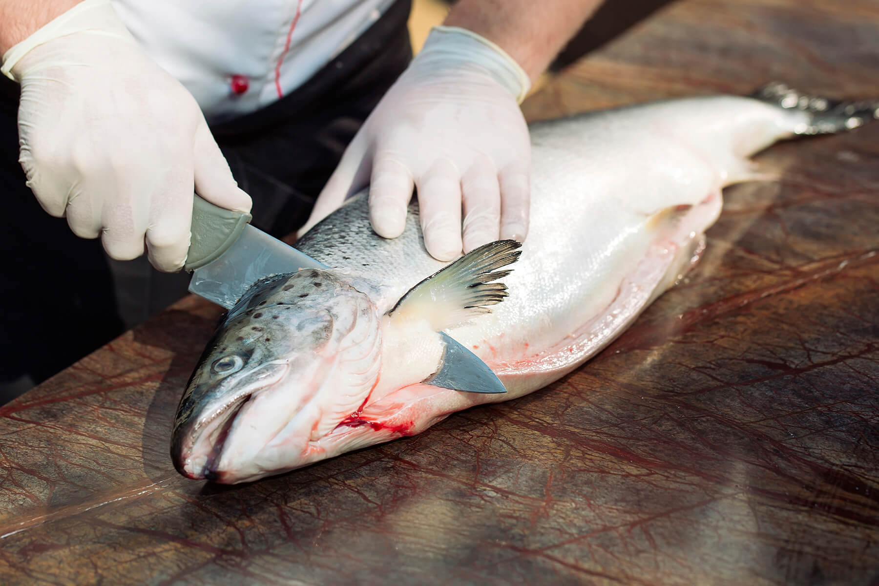 Messer mit grünem Griff setzt einen schrägen Schnitt direkt hinter dem Kopf eines ganzen Lachses, die zweite Hand hält den Fisch flach auf dem Tisch