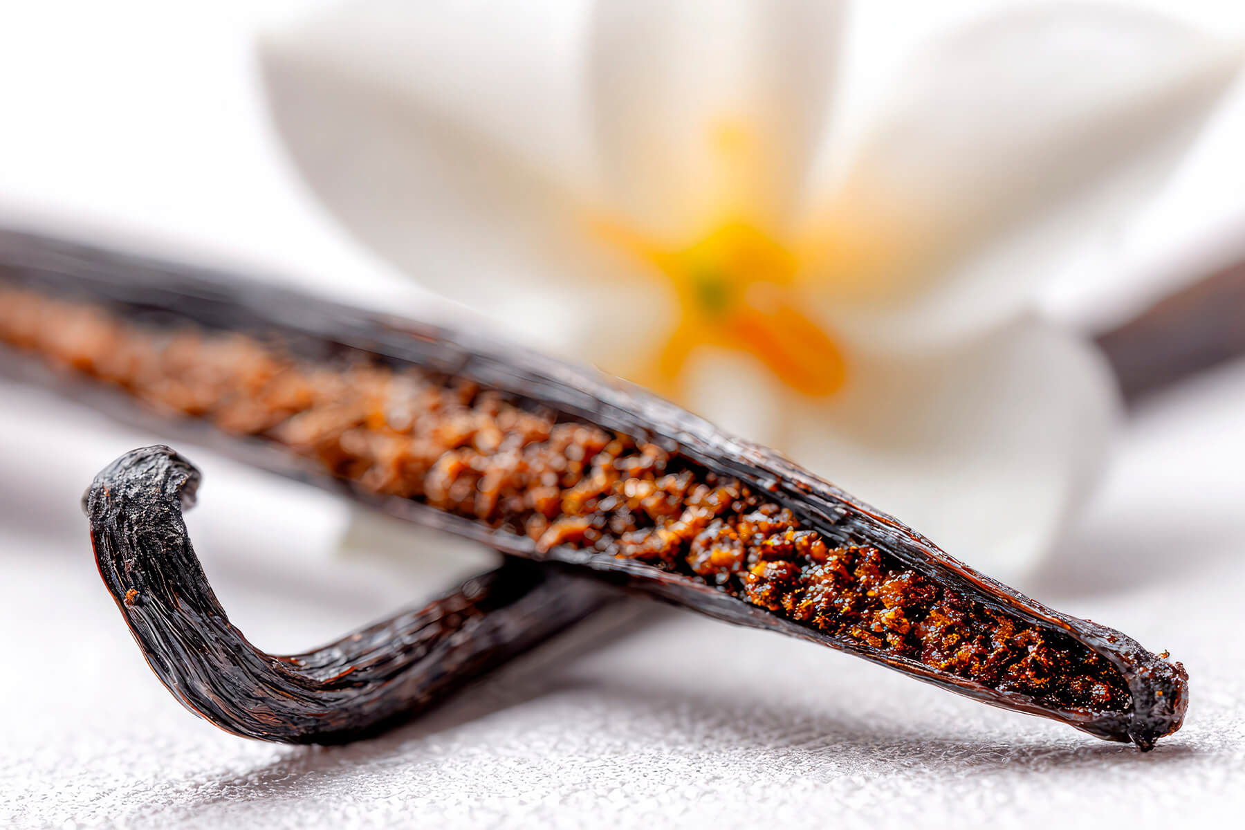 Aufgeschlitzte Vanilleschote mit freigelegtem Mark in Nahaufnahme, dahinter eine zweite gebogene Schote und eine weiße Blüte mit gelber Mitte
