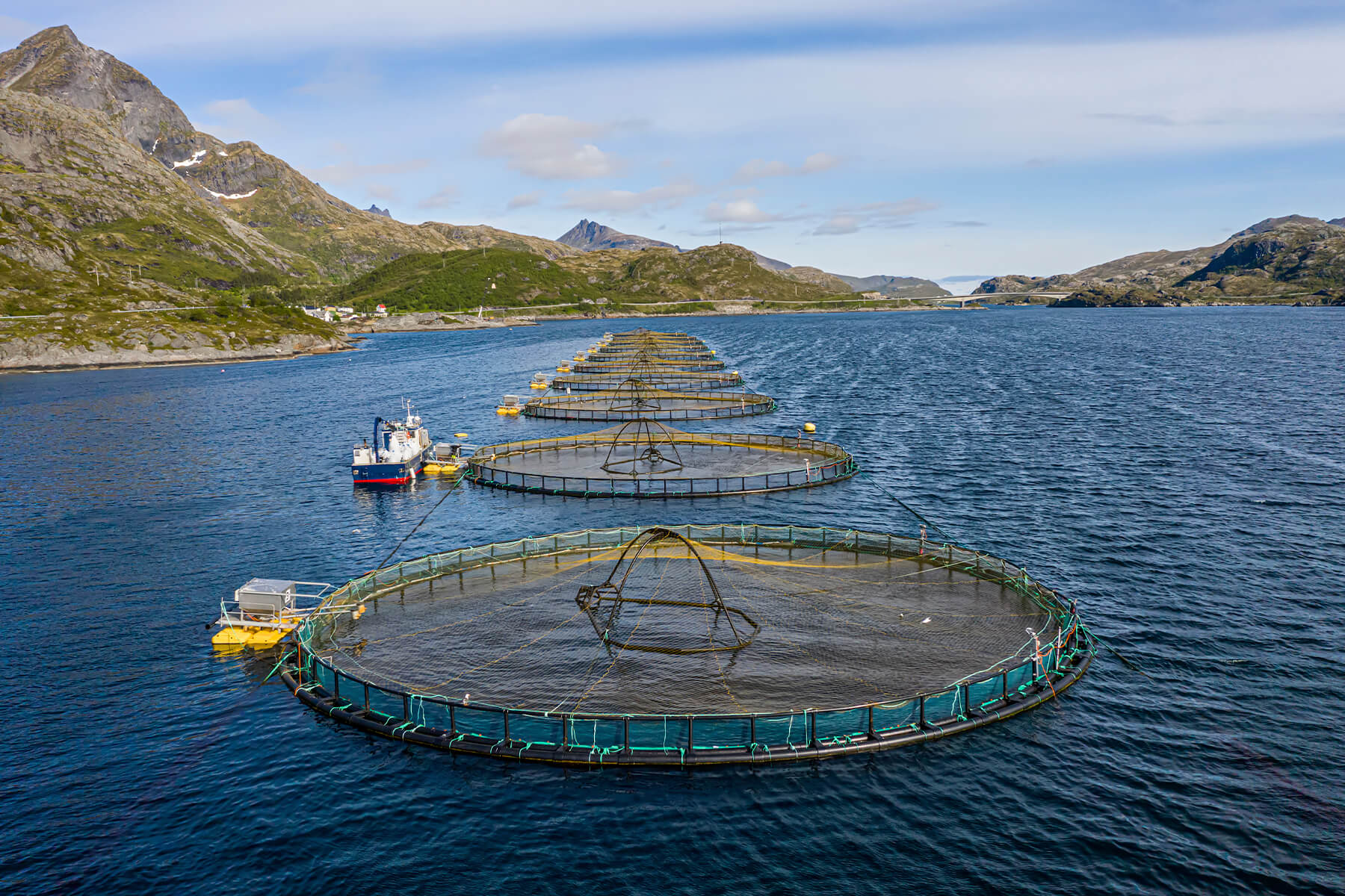 Reihe runder Netzgehege vor felsigen Bergen in Norwegen, daneben ein Arbeitsboot