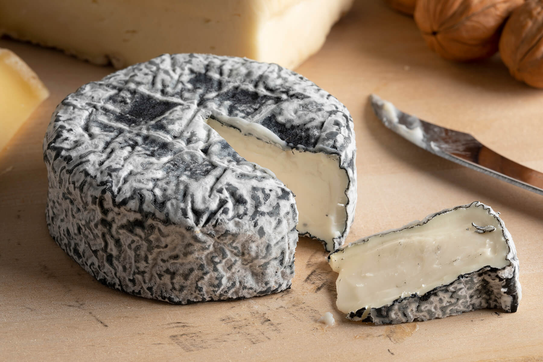Runder Ziegenkäse mit runzliger schwarz-weißer Ascherinde, ein Keil ist herausgeschnitten und liegt davor, der Teig weiß und unter der Rinde cremig, daneben ein Messer und Walnüsse